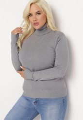 Szary Sweter z Golfem Sazerna w Składzie Wiskoza i Modal. Szare golfy damskie Born2be, l, bez wzorów, z dzianiny, bez ramiączek. Za 59.99 zł.