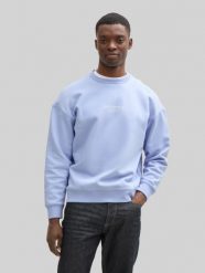 Męska Bluza Tom Tailor Relaxed Printed Crewneck Brunnera Blue 1045579 11486. Niebieskie bluzy bez kaptura męskie Tom Tailor, l. Za 119.99 zł.