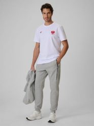 4F Spodnie kibica joggery męskie - szare S. Szare spodnie dresowe męskie 4f, z bawełny. Za 189.99 zł.