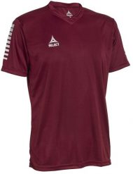 Koszulka piłkarska poliestrowa męska Select PISA bordowa. Czerwone t-shirty sportowe męskie Select, m, z poliesteru, bez ramiączek, do piłki nożnej. Za 81.30 zł.