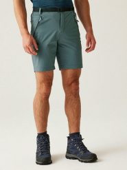 Regatta Szorty funkcyjne "Xert III" w kolorze zielonym rozmiar: 54. Zielone szorty męskie Regatta, z materiału, bez kołnierzyka. Za 100.99 zł.