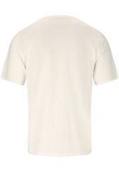 T-shirt Whistler Cashew. Szare szorty męskie WHISTLER, l, bez wzorów, z bawełny, bez kołnierzyka. Za 120.00 zł.