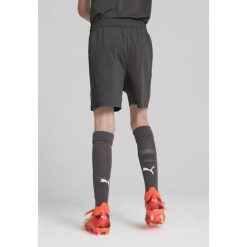 Młodzieżowe szorty AC Milan 24/25 PUMA Shadow Gray Fresh Mint Green. Szara szorty damskie Puma, bez wzorów, młodzieżowe. W wyprzedaży za 114.00 zł.