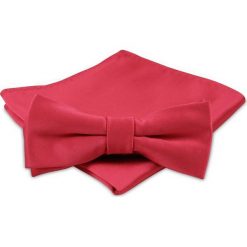 Modna Mucha Męska - Alties - Czerwona. Czerwone krawaty i muchy męskie Alties, bez wzorów, eleganckie. Za 54.00 zł.
