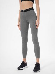 4F Legginsy 4FSS23TFTIF077 Szary Slim Fit. Szare legginsy damskie 4f, s, bez wzorów, z syntetyku, na fitness i siłownię. Za 99.99 zł.