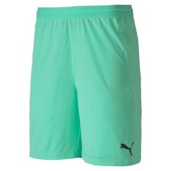 Krótkie spodenki męskie Puma TEAMFINAL 21. Zielone szorty męskie Puma, z poliesteru, bez kołnierzyka. Za 290.00 zł.