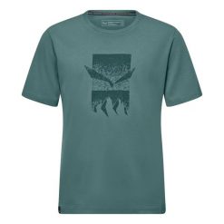 T-shirt Salewa Eagle 3cime. Zielone t-shirty męskie Salewa, s, bez wzorów, z bawełny, bez kołnierzyka. Za 232.00 zł.