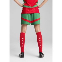 Damskie szorty Maroko 2025 PUMA Archive Green Red. Czerwone szorty damskie Puma, bez wzorów, sportowe. Za 179.00 zł.