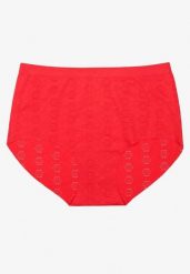 Czerwona Bielizna Modelująca Majtki High Waist Lilialira. Czerwona bielizna wyszczuplająca Renee, z jeansu. Za 9.99 zł.