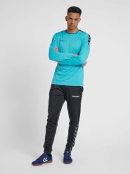 Hummel koszulka męska z długim rękawem hml Authentic Poly Jersey. Fioletowe t-shirty sportowe męskie HUMMEL, l, z jersey, bez ramiączek, do biegania. Za 66.00 zł.