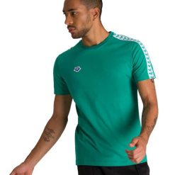 Koszulka męska Arena T-Shirt Team Icons. Zielone t-shirty męskie Arena, m, bez wzorów, bez kołnierzyka. Za 119.00 zł.