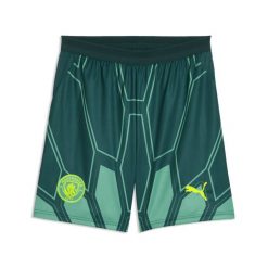 Spodenki bramkarskie 26/27 Manchester City Mężczyzna PUMA. Zielone szorty męskie Puma, z materiału, bez kołnierzyka. Za 199.00 zł.