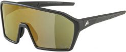 Okulary przeciwsłoneczne Alpina Ram Q-Lite. Czarne okulary przeciwsłoneczne męskie Alpina, prostokątne. Za 441.95 zł.