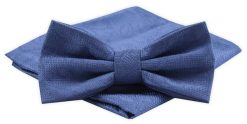 Mucha Męska Alties z Poszetką - Niebieska z Fakturą. Niebieskie krawaty i muchy męskie Alties, bez wzorów, eleganckie. Za 54.00 zł.