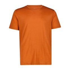 Koszulka merino męska CMP Neil T-Shirt. Brązowe t-shirty męskie CMP, na lato, m, bez wzorów, z materiału, bez kołnierzyka. Za 236.65 zł.