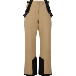 Spodnie narciarskie dla kobiet Whistler Drizzle Pro. Szare spodnie dresowe damskie WHISTLER, na zimę, bez wzorów. Za 319.99 zł.