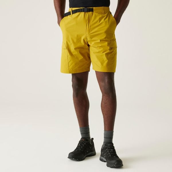 Męskie spodenki Mallen. Brązowe szorty męskie Regatta, bez wzorów, z tkaniny, sportowe. Za 190.00 zł.