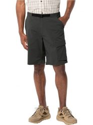 Jack Wolfskin Szorty turystyczne "Wanderthirst" w kolorze szarobrązowym rozmiar: 46. Brązowe szorty męskie Jack Wolfskin, z materiału, bez kołnierzyka. Za 206.42 zł.