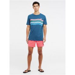 Koszulka męska Protest PRTEXMOUTH t-shirt. Niebieskie t-shirty męskie Protest, l, bez wzorów, bez kołnierzyka. Za 179.99 zł.