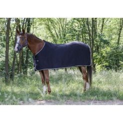 Koszula z koniem Riding World Polaire. Czarne koszule damskie RIDING WORLD, m, bez wzorów, z materiału, bez kołnierzyka, bez ramiączek. Za 96.85 zł.