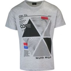 Koszulka Bawełniana z Nadrukiem, Szara z Krótkim Rękawem, T-shirt, Casualowa. Szare t-shirty męskie D'or Et de Platine, na lato, s, bez wzorów, z bawełny, bez kołnierzyka. Za 69.00 zł.