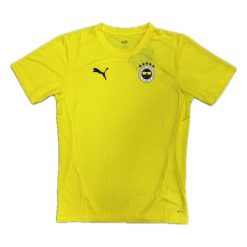 Koszulka treningowa Fenerbahçe 2024/25. Żółte t-shirty damskie Puma, bez ramiączek, do piłki nożnej. Za 251.00 zł.
