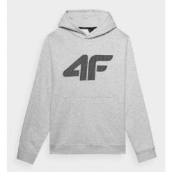 Bluza Męska 4F. Szare bluzy bez kaptura męskie 4f, m. Za 179.99 zł.