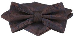 Mucha Męska z Poszetką w Zestawie - Alties - Elegancki Brąz. Krawaty i muchy męskie Alties, bez wzorów, eleganckie. Za 65.00 zł.