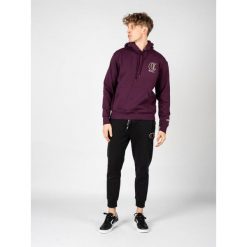 Bluza trekking męska Hoodie. Fioletowe bluzy z kapturem męskie CHAMPION, m, z bawełny. Za 208.00 zł.