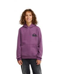 Bluza z kapturem dla Chłopcy OMNI LOGO. Fioletowe bluzy z kapturem męskie Quiksilver, m, z bawełny. Za 189.99 zł.