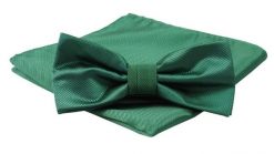 Mucha Męska z Poszetką, Butelkowa Jednokolorowa w Drobny Prążek -ALTIES. Zielone krawaty i muchy męskie Alties, bez wzorów, eleganckie. Za 54.00 zł.