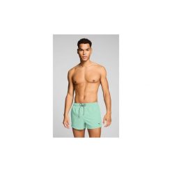 Kąpielówki Męskie - krótkie spodenki - Mint Jelly. Zielone kąpielówki męskie Puma, m, bez wzorów, z tkaniny, do pływania. Za 199.60 zł.