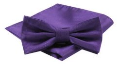 Mucha Męska z Poszetką w Zestawie - Alties - Fiolet z Drobną Fakturą na Tkaninie. Krawaty i muchy męskie Alties, bez wzorów, eleganckie. Za 54.00 zł.