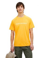 Koszulka Peak Performance męska Active Tee pomarańczowa - L. Brązowe t-shirty sportowe męskie Peak Performance, l, z bawełny, bez ramiączek, do biegania. Za 189.00 zł.