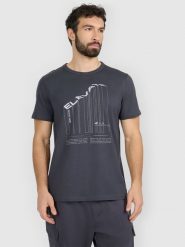4F T-shirt regular z nadrukiem męski - szary M. Szare t-shirty męskie 4f, m, bez wzorów, z bawełny, bez kołnierzyka. Za 69.99 zł.