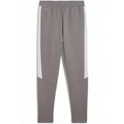 Młodzieżowe spodnie Evostripe PUMA Cast Iron Gray. Szara spodnie dresowe damskie Puma, m, bez wzorów. W wyprzedaży za 114.00 zł.