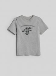 4F Хлопчачий t-shirt regular з принтом - сірий 128. T-shirty damskie 4f, bez wzorów, z jersey, bez kołnierzyka. Za 459.90 zł.