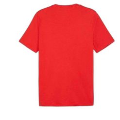 Puma Koszulka Graphics Summer Sports Ii 62790911. Czerwone t-shirty sportowe męskie Puma, na lato, m, z bawełny, bez ramiączek, na fitness i siłownię. Za 67.99 zł.