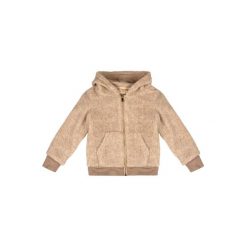 Kurtka ciepły z kaptur na co dzień na siłownię. Brązowe kurtki męskie LEONE 1947 APPAREL, bez wzorów, z poliesteru, sportowe, bez kaptura. W wyprzedaży za 179.45 zł.