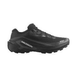 Obuwie Biegi w terenie Mężczyzna GENESIS 2 GTX. Czarne obuwie do biegania damskie Salomon. Za 729.00 zł.