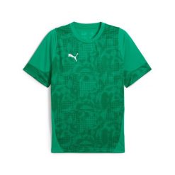 Koszulka Puma Team Cup. Zielone t-shirty sportowe męskie Puma, z materiału, bez ramiączek, do piłki nożnej. Za 224.00 zł.
