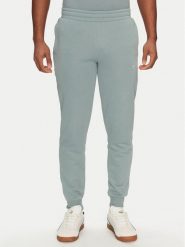 Puma Spodnie dresowe Ess 684714 Zielony Regular Fit. Zielone spodnie dresowe męskie Puma, bez wzorów, z dresówki. Za 121.99 zł.