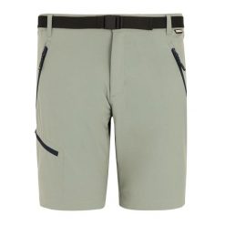 Męskie Spodenki Xert Stretch Shorts. Brązowe szorty męskie Regatta, bez kołnierzyka. Za 222.99 zł.