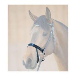 Pasek na nos z wbudowaną lampą błyskową Kavalkade. Brązowe paski damskie KAVALKADE, bez wzorów, sportowe. Za 215.50 zł.