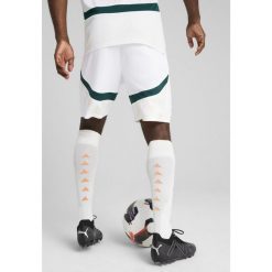 Męskie szorty Wybrzeże Kości Słoniowej 2025 PUMA White Dark Myrtle Green. Białe szorty męskie Puma, bez kołnierzyka. Za 199.00 zł.