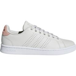 Brązowe Buty adidas Advantage W F36480. Brązowe buty sportowe na co dzień damskie Adidas, bez wzorów, z materiału, tenisowe, Adidas Advantage. W wyprzedaży za 299.00 zł.