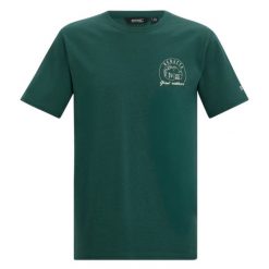T-shirt Męski Z Motywem Wschodu Słońca Cline IX. Zielone t-shirty męskie Regatta, m, bez wzorów, bez kołnierzyka. Za 67.99 zł.