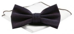Mucha Męska z Poszetką Chattier - Granat z Bordo, Drobny Wzór. Czerwone krawaty i muchy męskie Chattier, bez wzorów, z poliesteru, eleganckie. Za 59.00 zł.