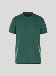 Bjorn_borg BORG ESSENTIAL 1 T-SHIRT POSY GREEN męski. Zielone t-shirty męskie Björn Borg, l, bez wzorów, bez kołnierzyka. Za 173.00 zł.