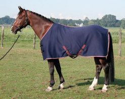 Chłodząca koszulka dla koni z dżerseju Harry's Horse. Niebieskie t-shirty damskie HARRYS HORSE, s, bez wzorów, z dżerseju, bez kołnierzyka. Za 166.50 zł.